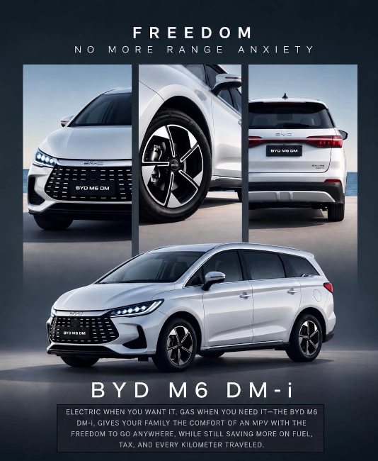  Banner BYD M6 DM 