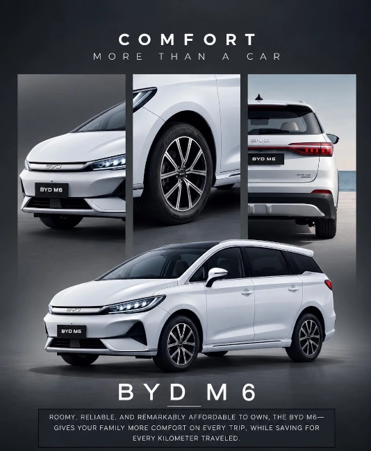  Banner BYD M6 EV 
