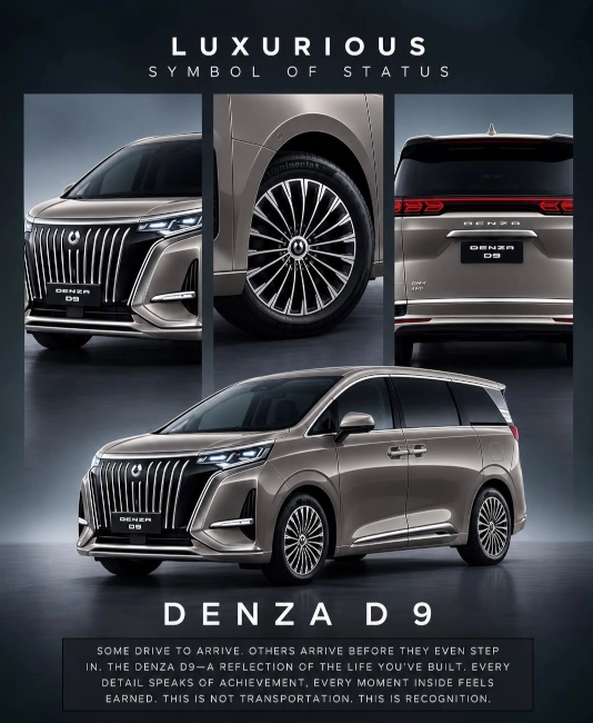  Banner DENZA D9 